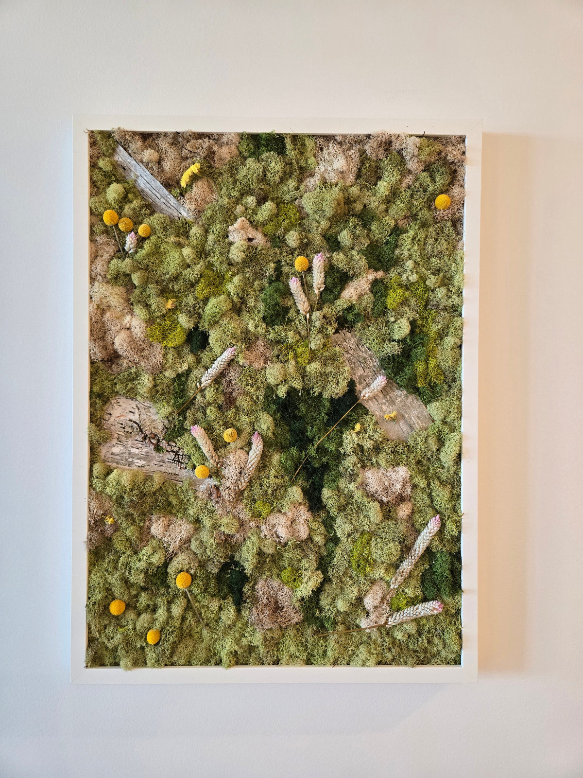 Raw Nature In White Frame - Moss Art