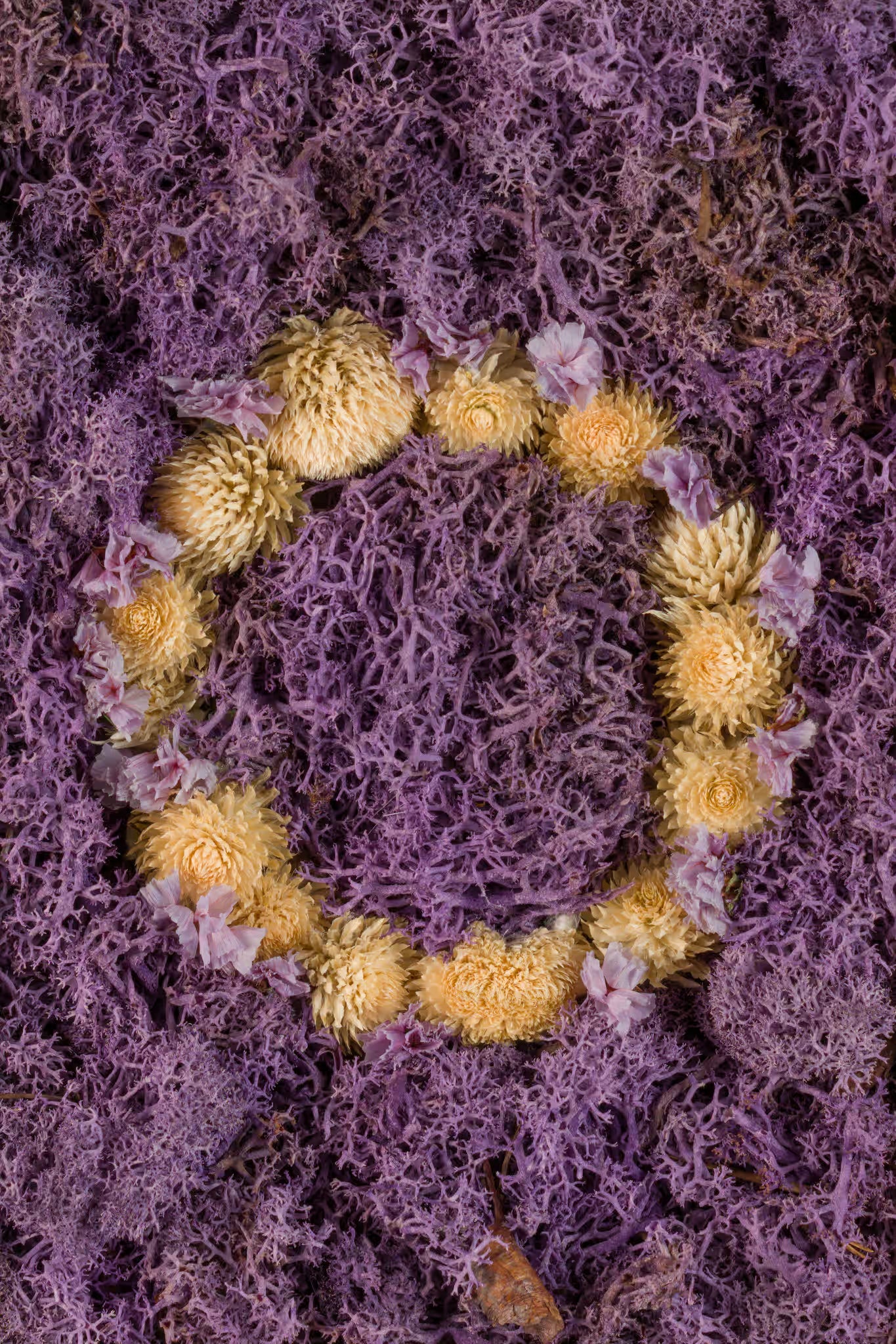 Nude flowers on purple moss fine art print