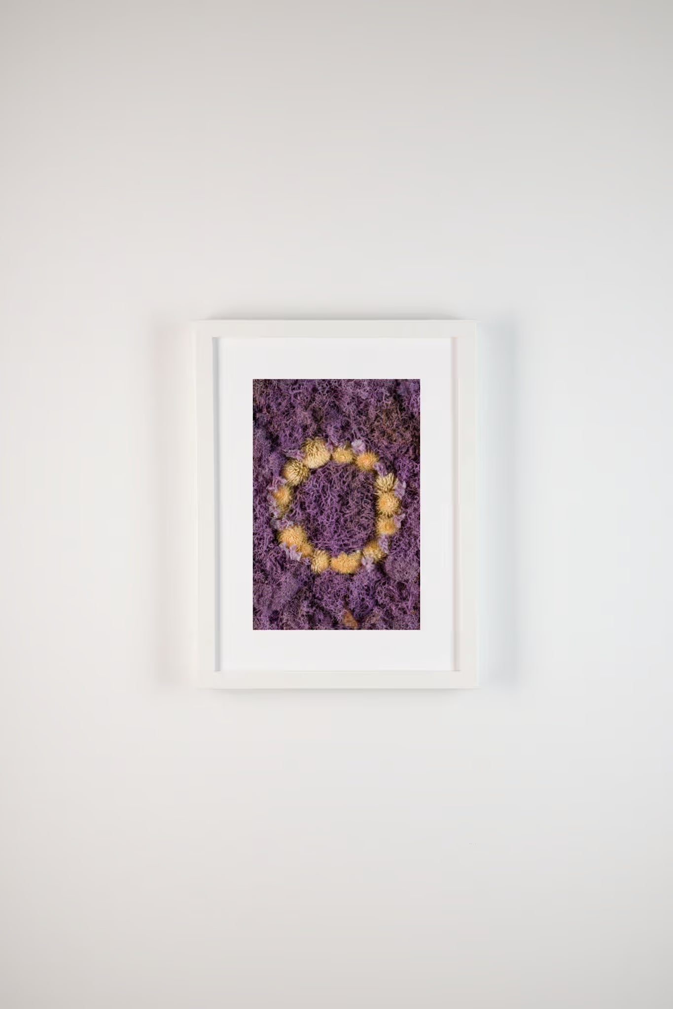 Nude flowers on purple moss fine art print