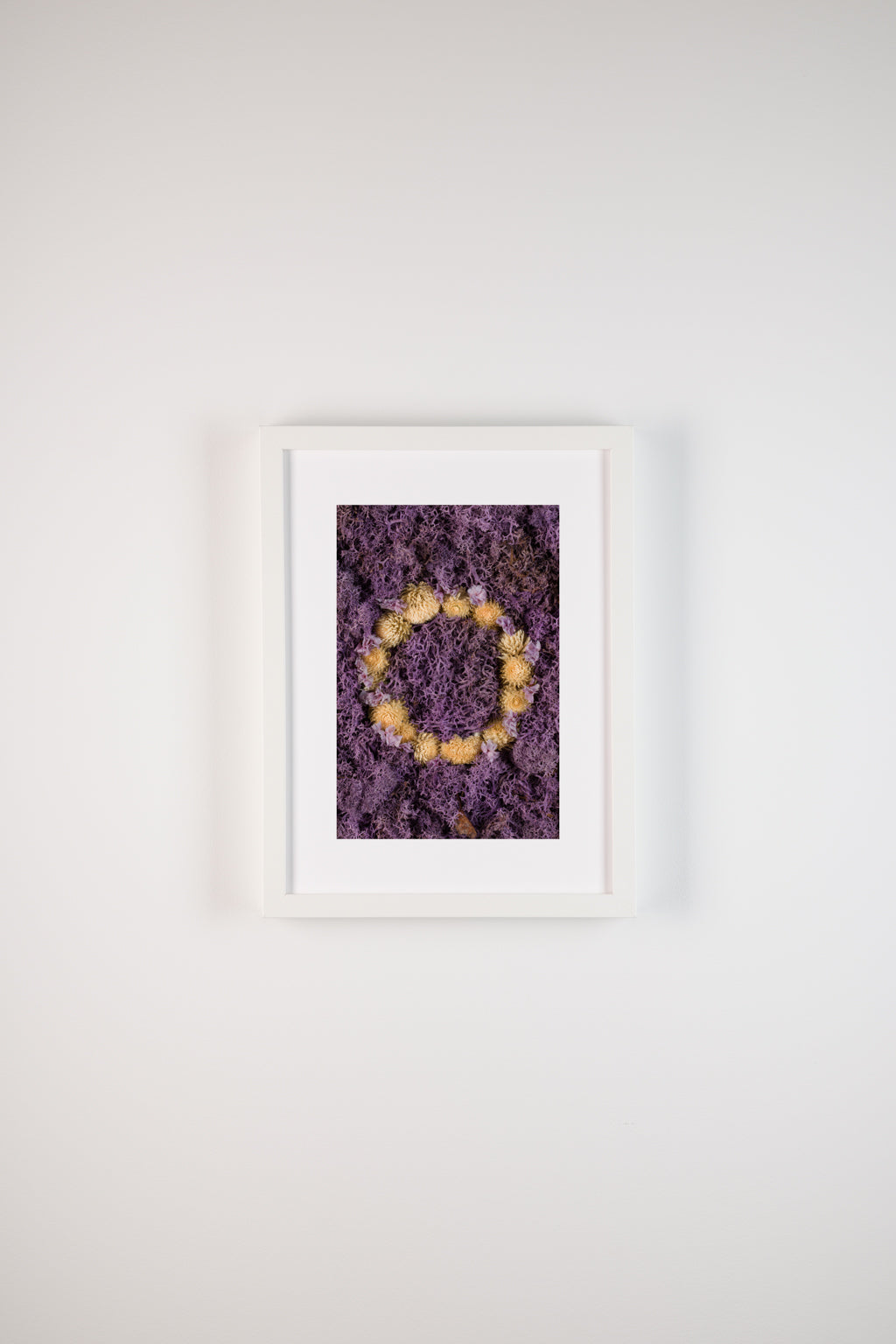 Lavender Fields - Fine Art Print