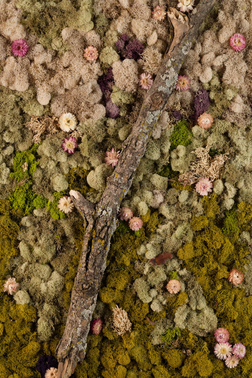 The Original - Print