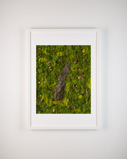 White Squirrel Way - Print