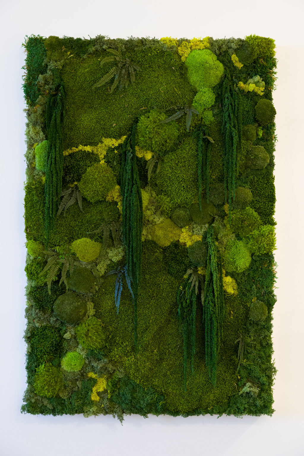 Madeira - Moss Art