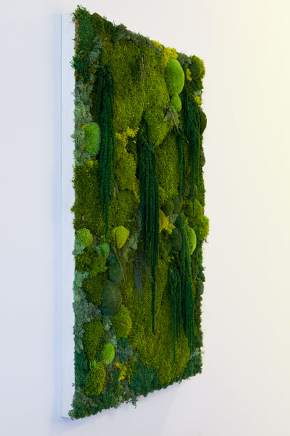 Madeira - Moss Art