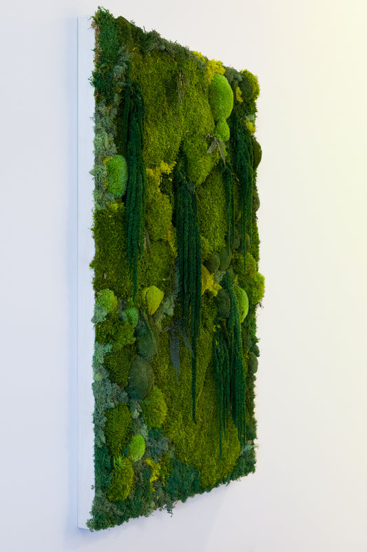 Madeira - Moss Art