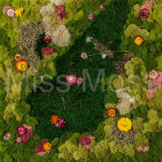 In The Meadow - Print