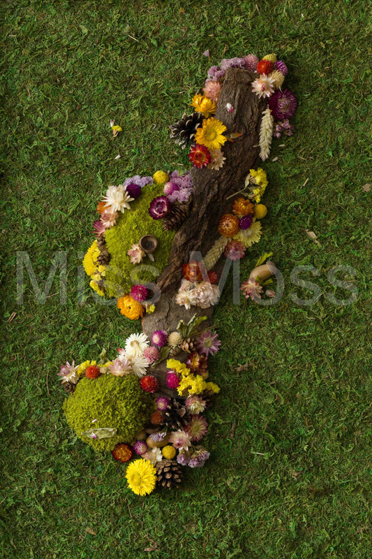 In Bloom - Print