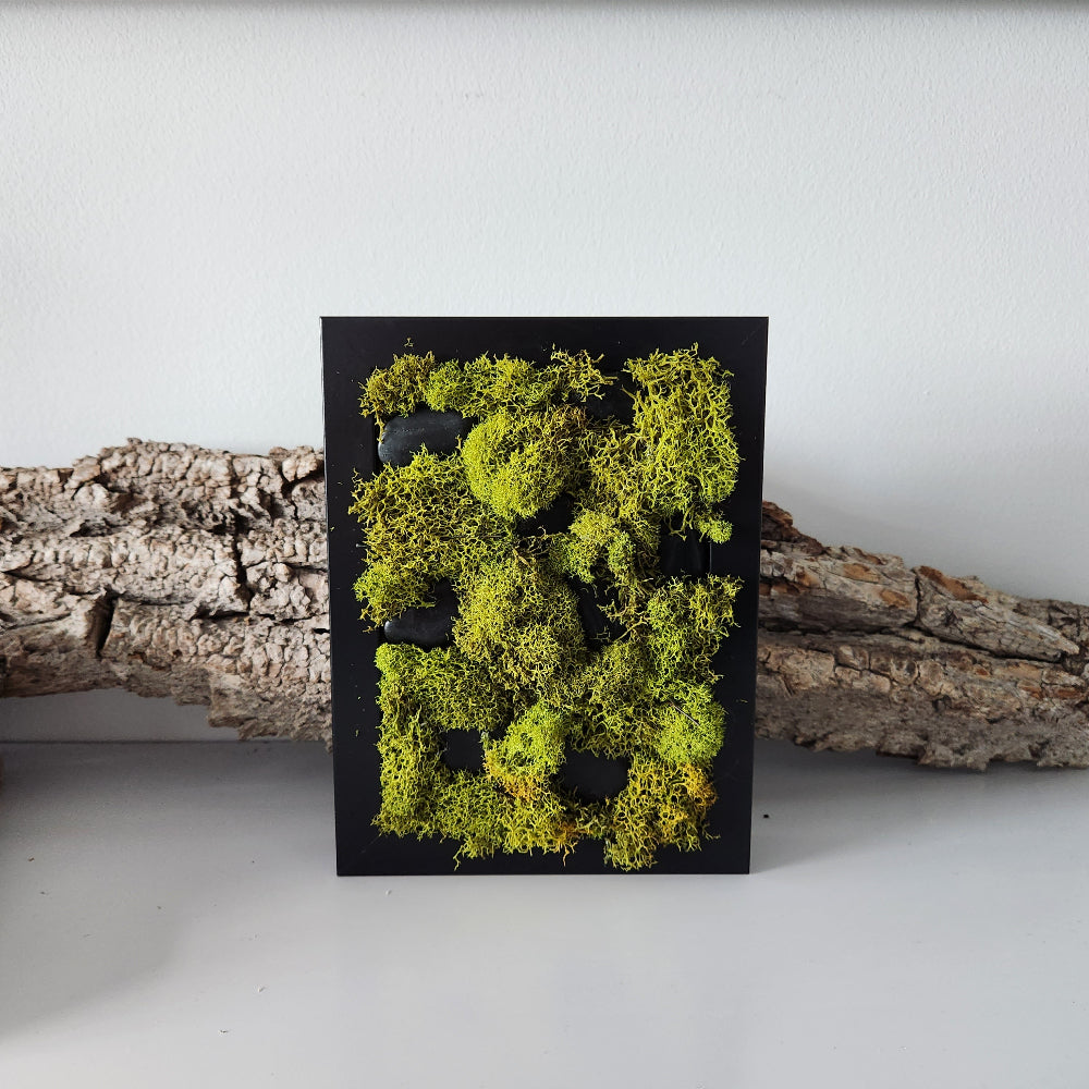Moss Between The Stones - Moss Art