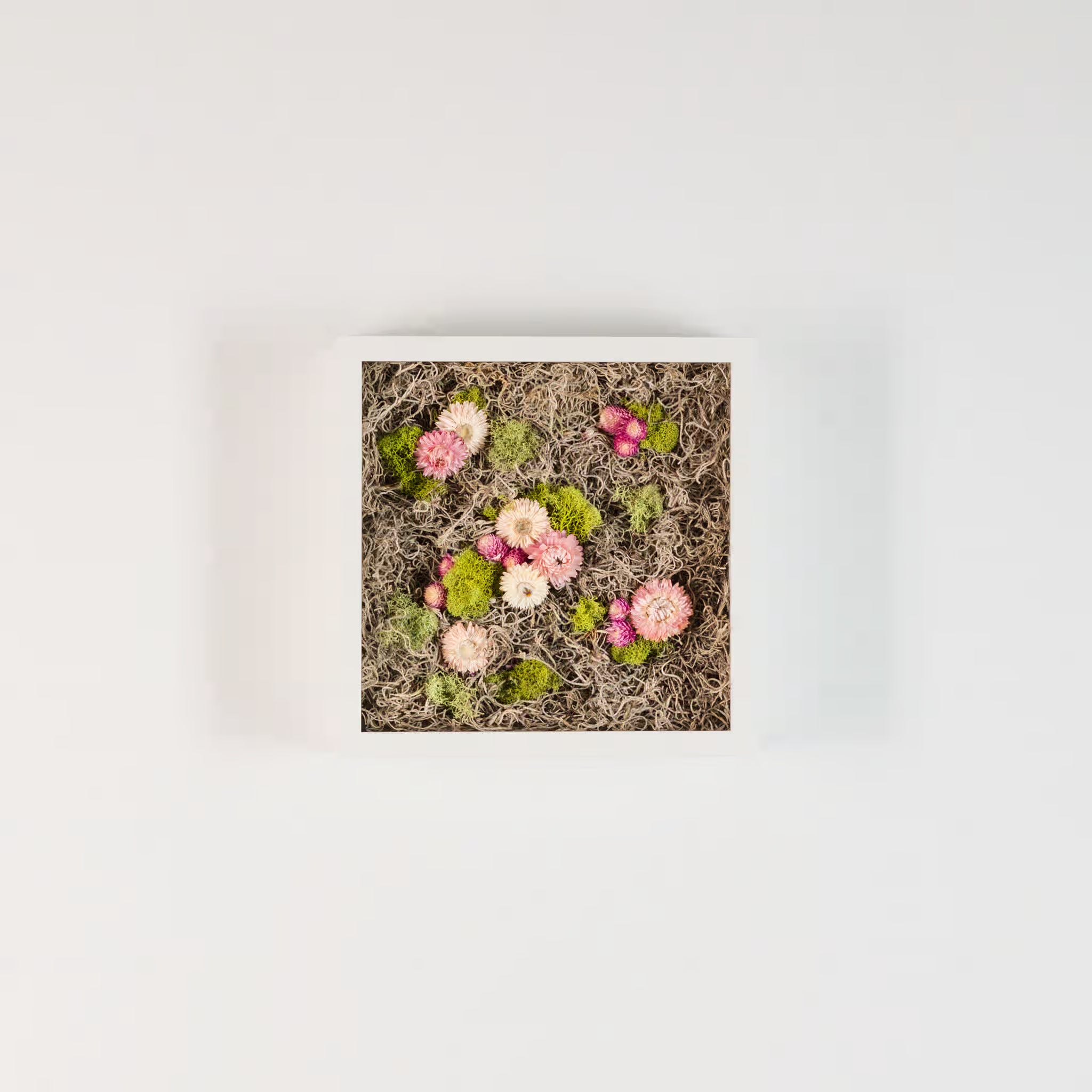 Nesting - Moss Art