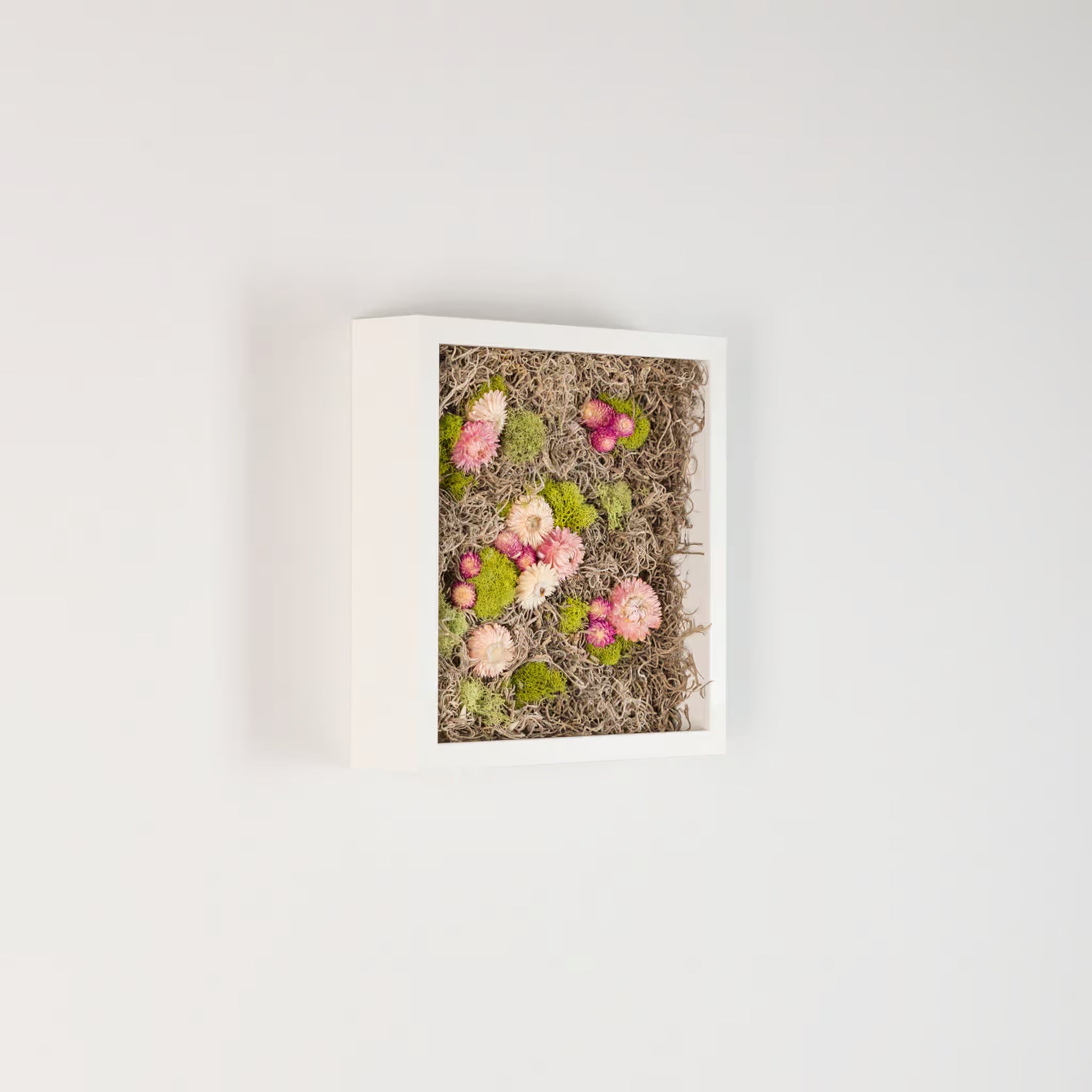 Nesting - Moss Art