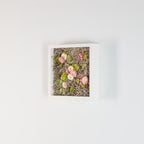 Nesting - Moss Art