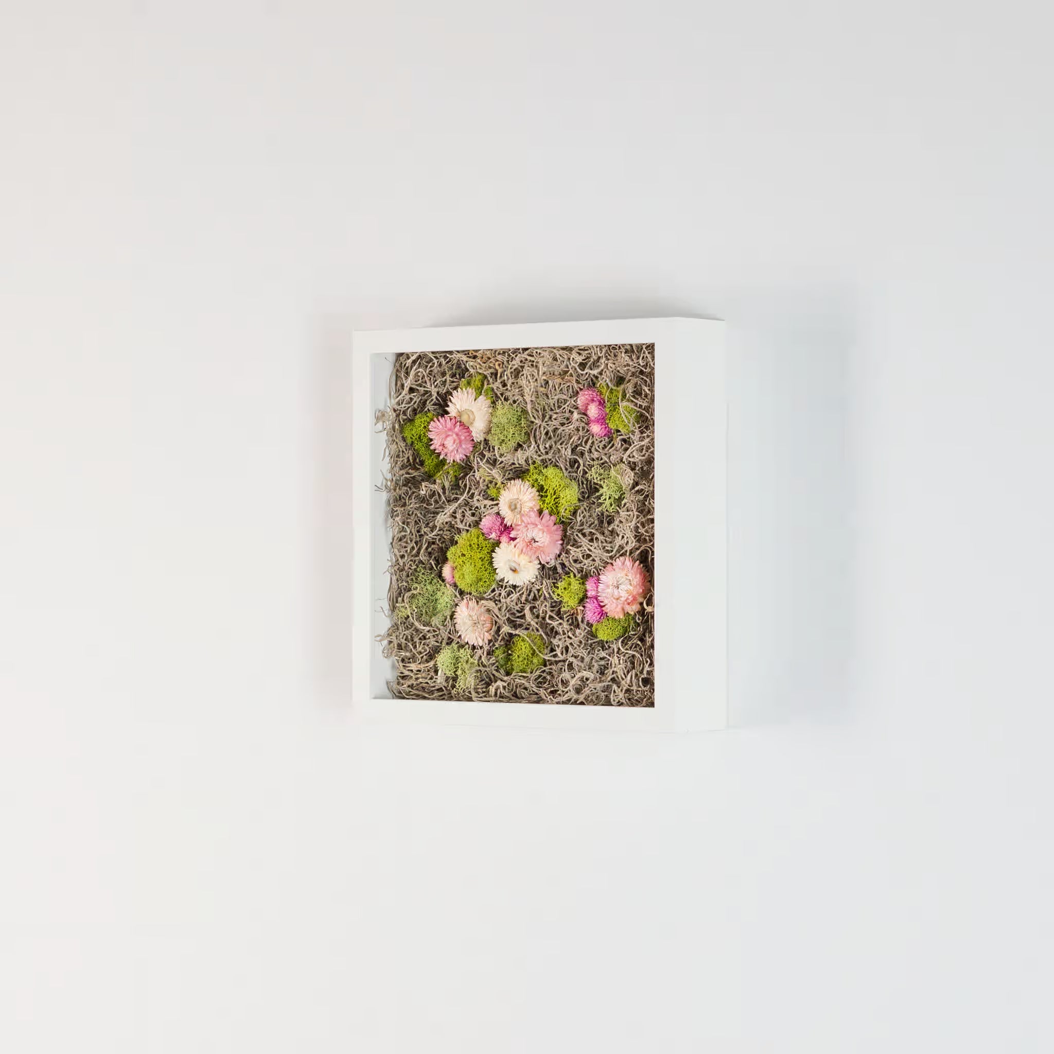 Nesting - Moss Art
