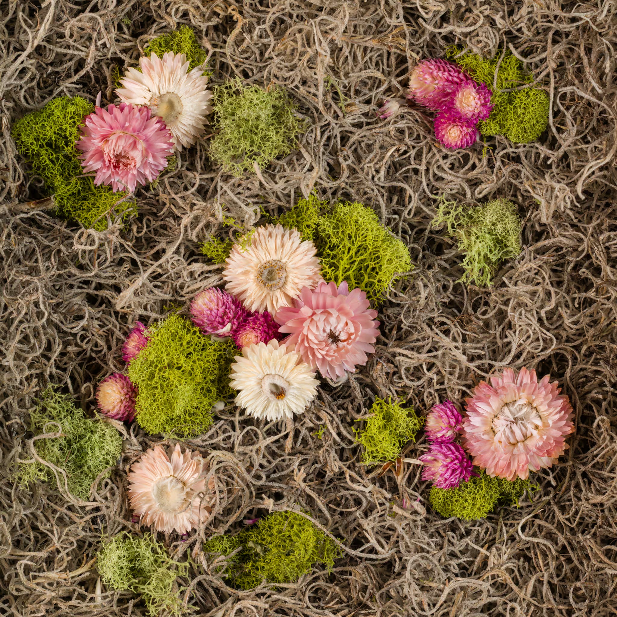 Soft pink, fuchsia, and white flowers with green and Spanish moss fine art print