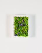 Northern Lights - Moss Art