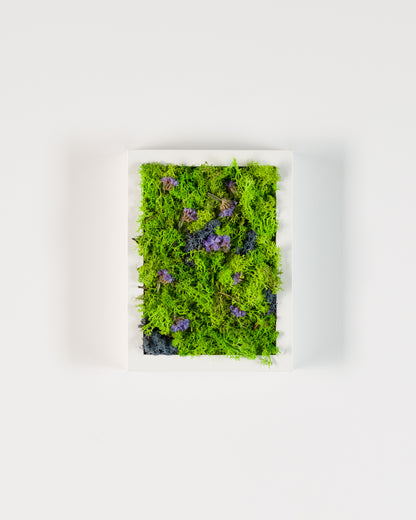 Northern Lights - Moss Art
