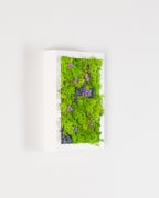 Northern Lights - Moss Art
