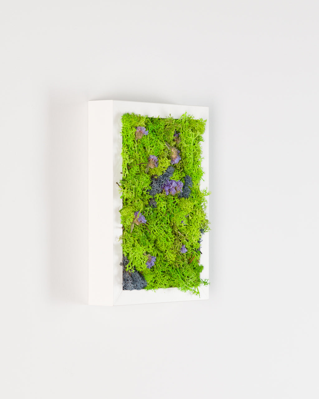 Northern Lights - Moss Art