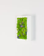 Northern Lights - Moss Art