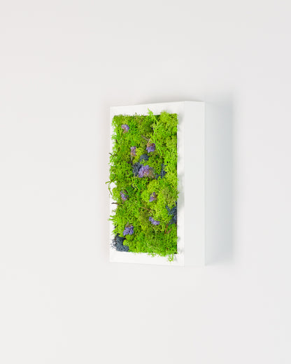 Northern Lights - Moss Art