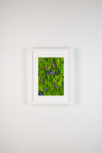 Purple flowers on bright green and blue moss fine art print