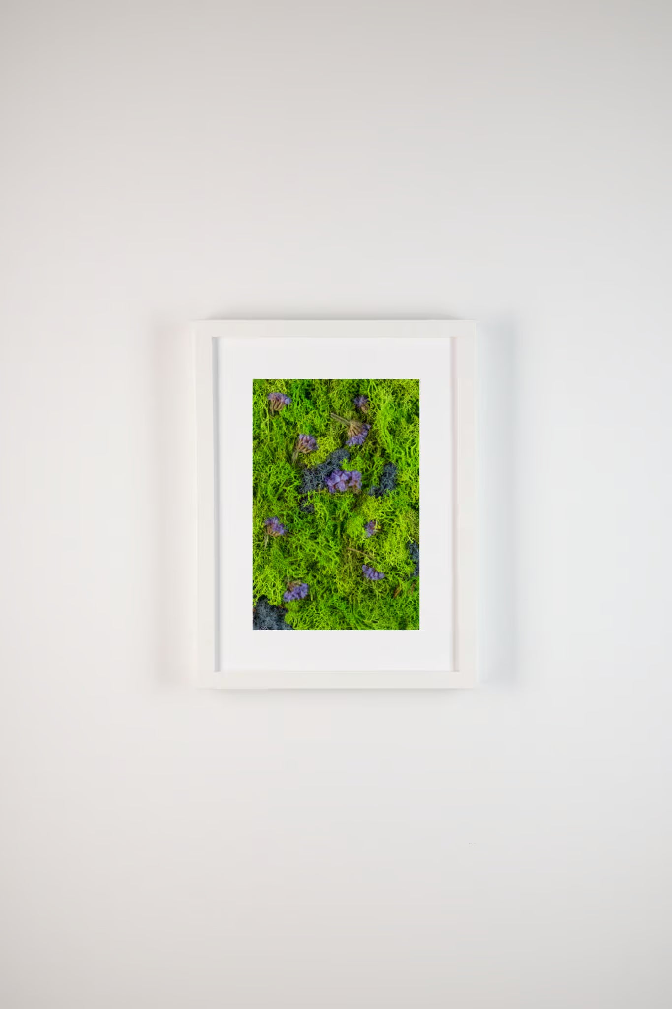 Purple flowers on bright green and blue moss fine art print