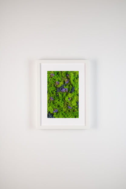 Northern Lights - Fine Art Print