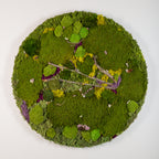 Open - Moss Art