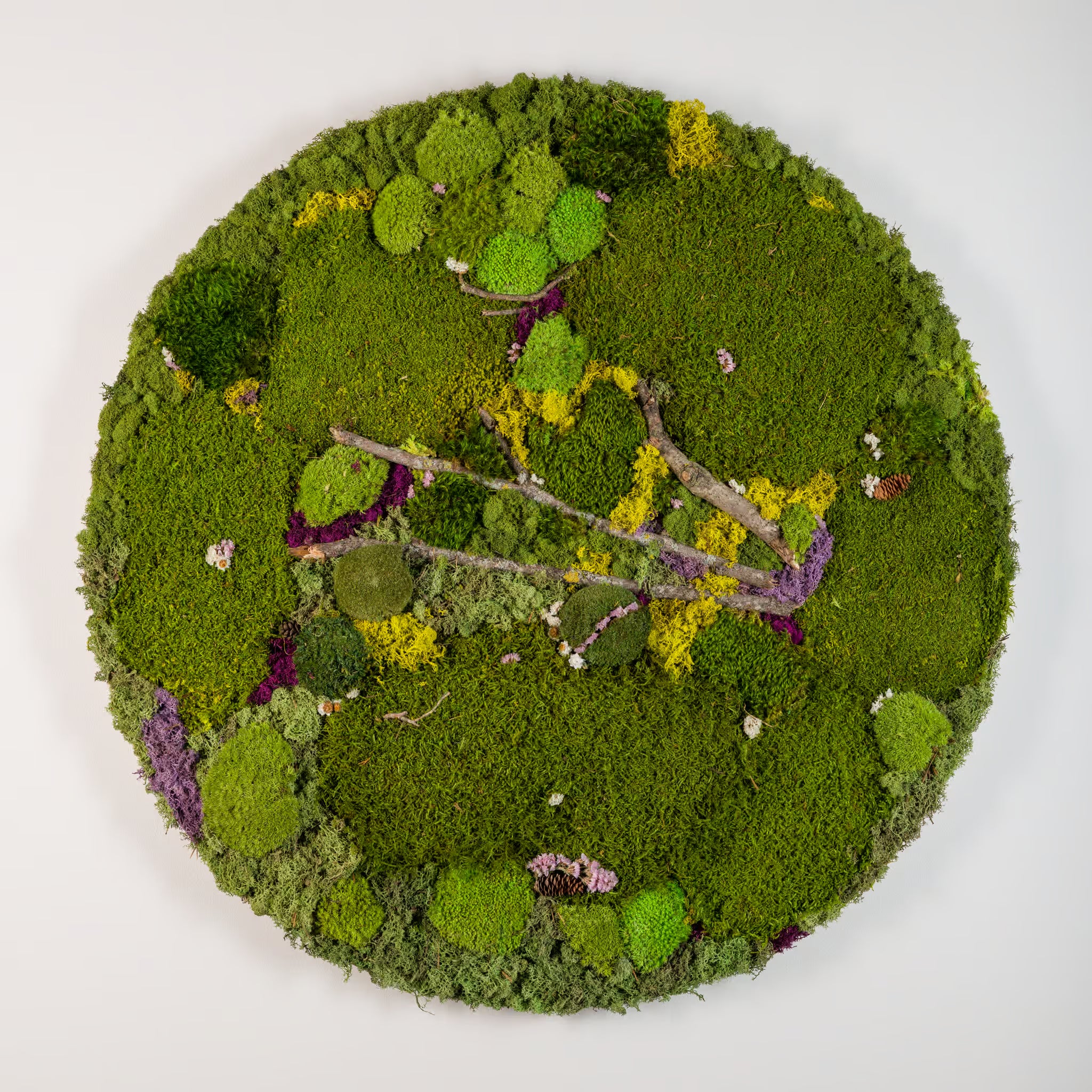 Open - Moss Art