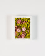 Pink Lemonade - Moss Art
