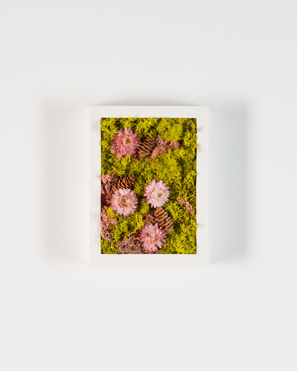 Pink Lemonade - Moss Art