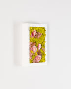 Pink Lemonade - Moss Art