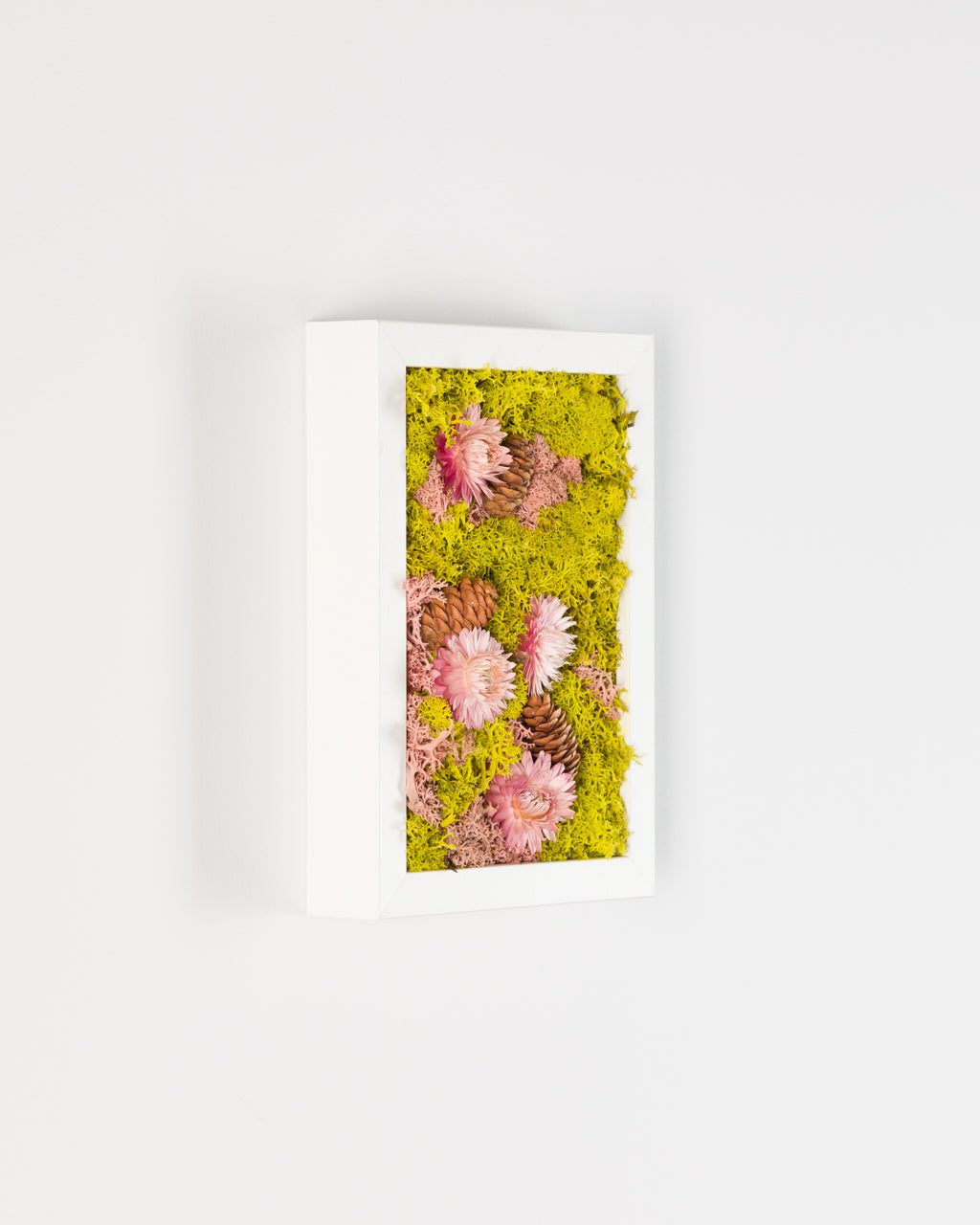 Pink Lemonade - Moss Art