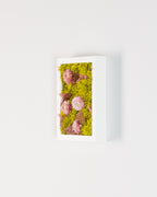 Pink Lemonade - Moss Art