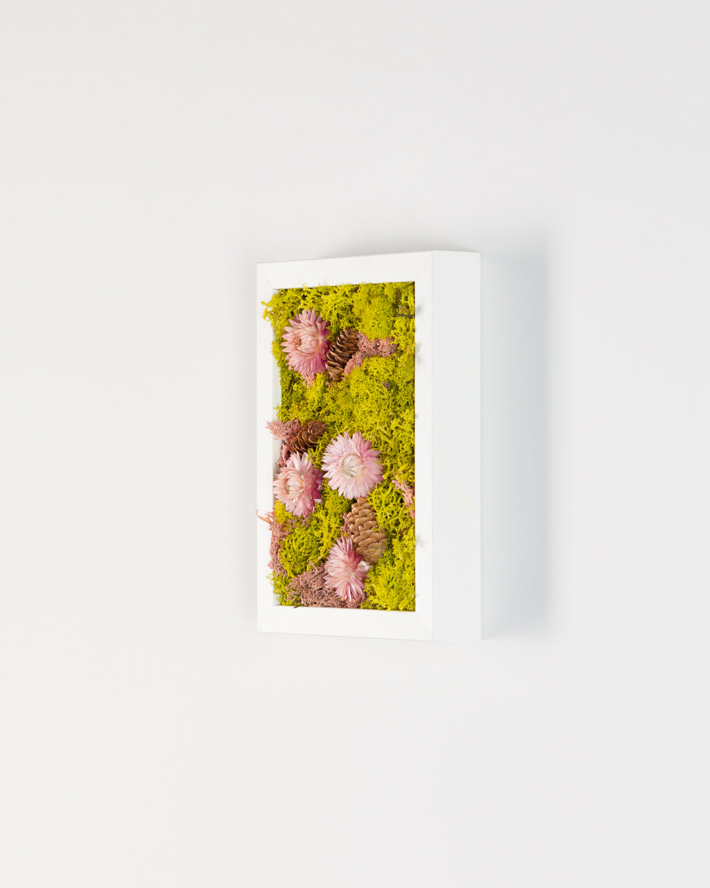 Pink Lemonade - Moss Art