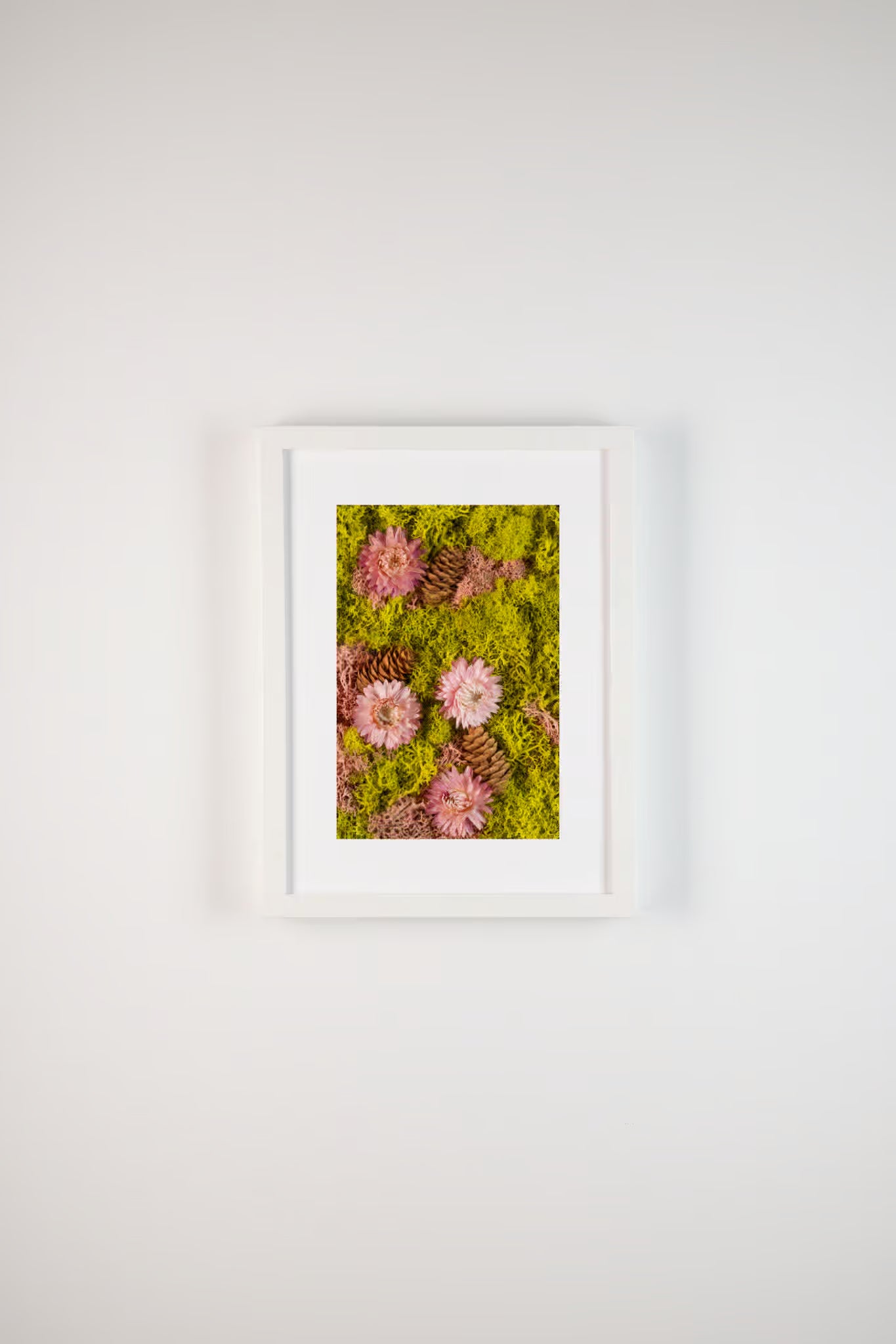 Pink flowers and pinecones on a spring green moss background fine art print