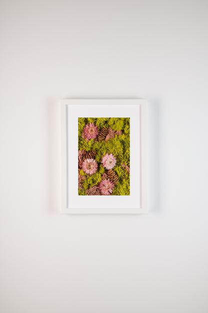 Pink Lemonade - Fine Art Print