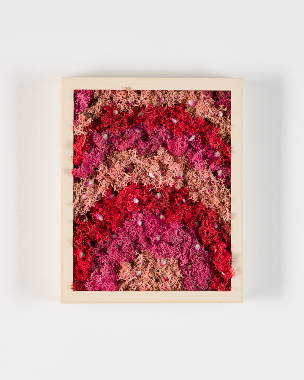 Pink Pony Club - Moss Art