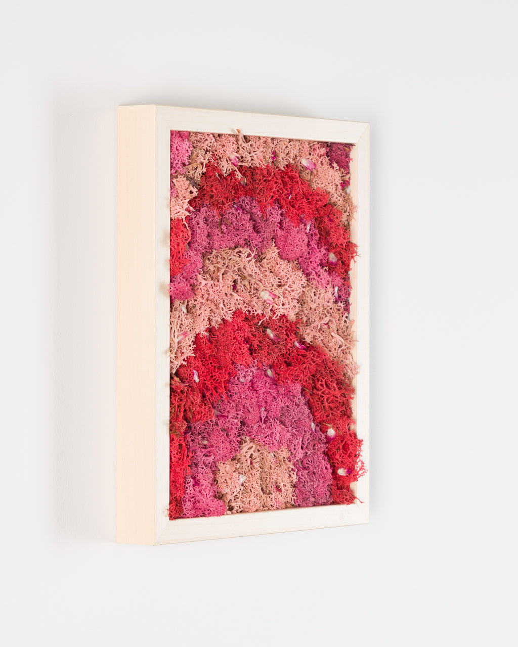 Pink Pony Club - Moss Art