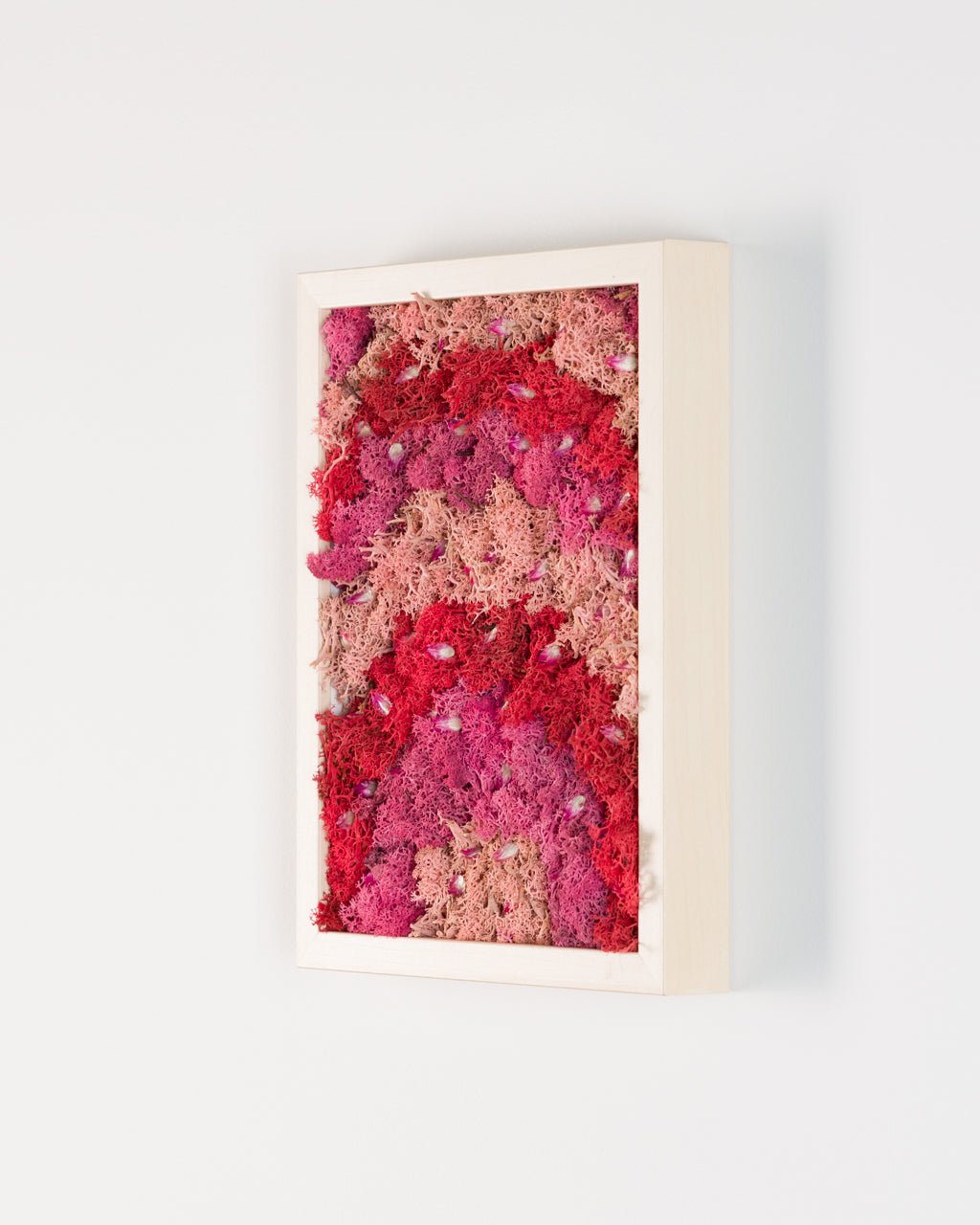 Pink Pony Club - Moss Art