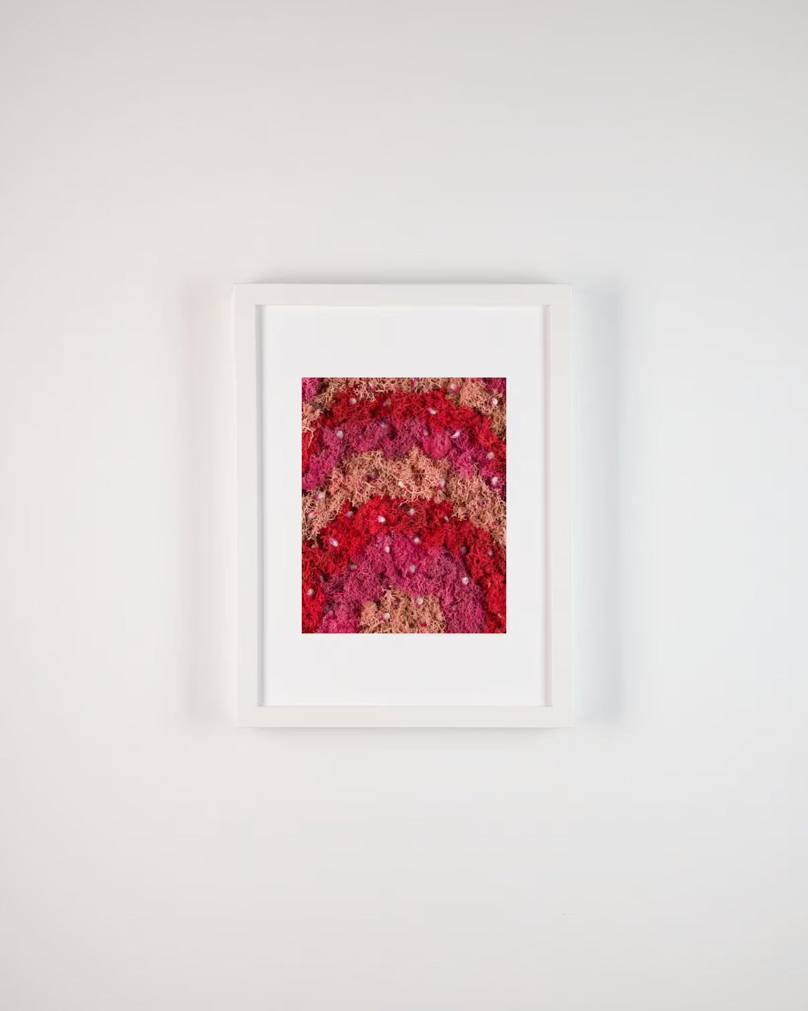 Pink and red rainbow moss with flower petals fine art print