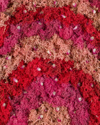 Pink and red rainbow moss with flower petals fine art print