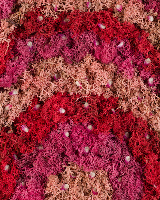 Pink Pony Club - Fine Art Print