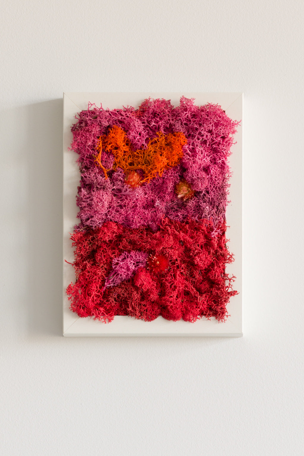 Popsicle - Moss Art