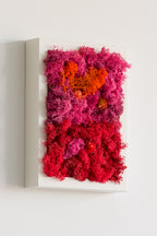 Popsicle - Moss Art