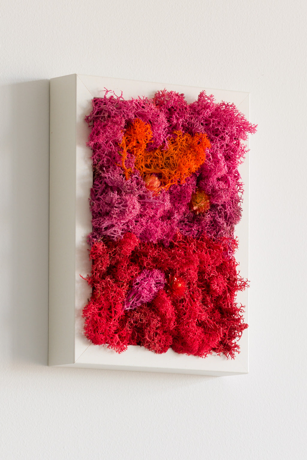 Popsicle - Moss Art