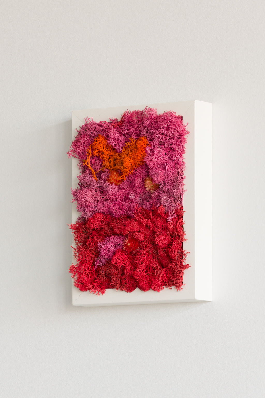 Popsicle - Moss Art