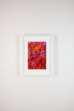 Bright pink, orange, and red moss with flowers fine art print