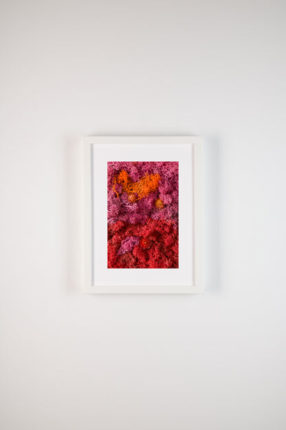 Popsicle - Fine Art Print