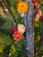 Pumpkin Spice – Botanical Autumn Moss Wall Art| Fall Decor