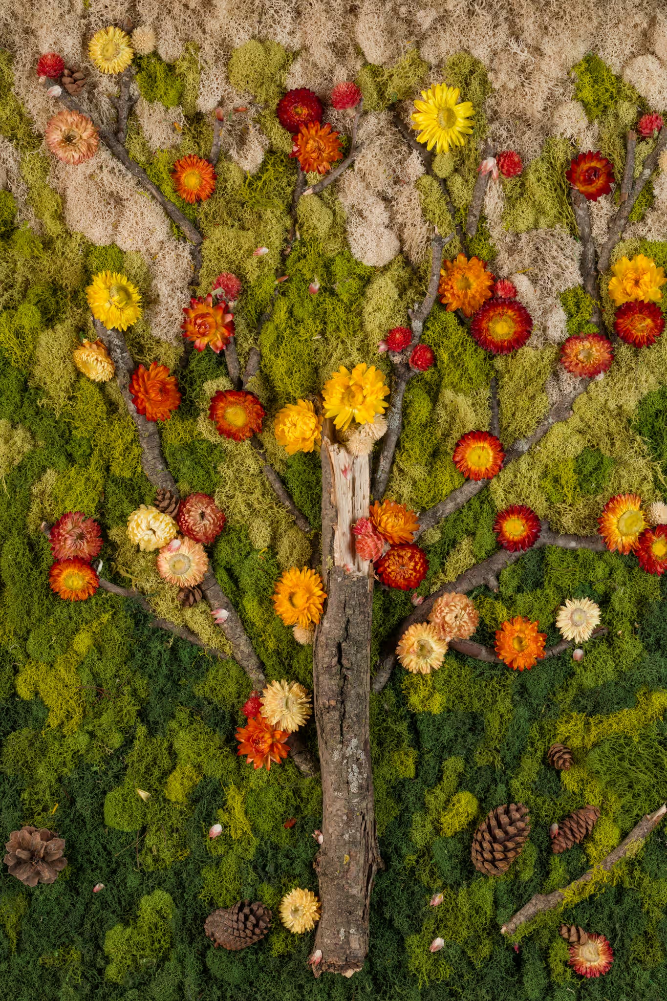 Green moss wall with branches and flowers in fall colours yellow and burnt orange fine art print